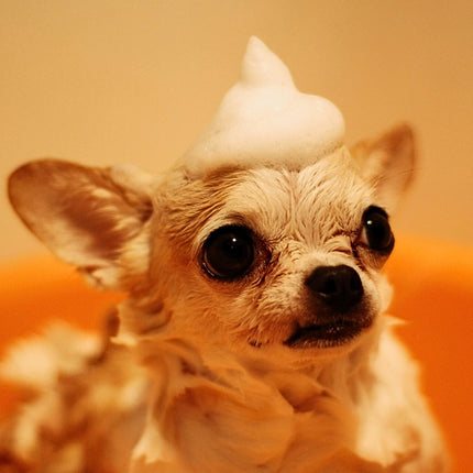 Collection image for: Care and Cuddles Collection