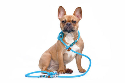 Collection image for: The Ride Collection