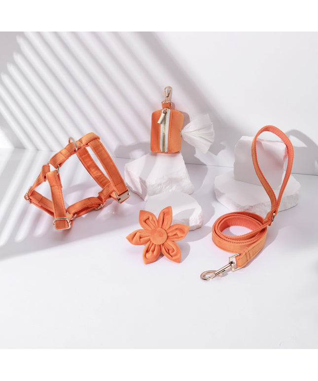 STEP IN FLORAL BUNDLE - ORANGE(4 pieces)-0