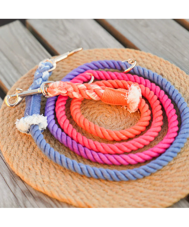 HANDS FREE DOG ROPE LEASH - PALETTE-0