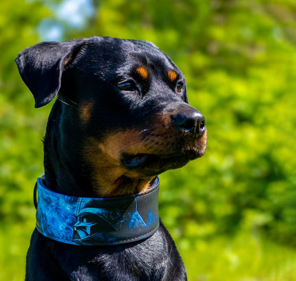 The Darth Force Limited Collar-3