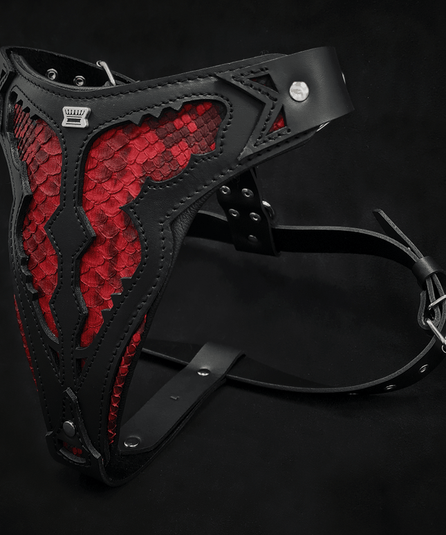 The ''Red Dragon'' harness