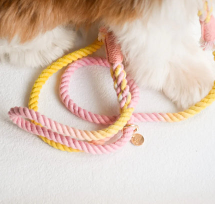 HANDS FREE DOG ROPE LEASH - OH MY MARSHMALLOW-1