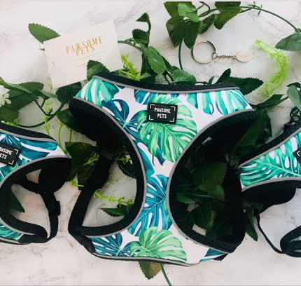 ADJUSTABLE HARNESS - NAPA-2