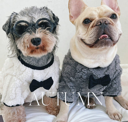 The "Bow Tie" Sweater for Bulldogs & Corgis (Comfy Fit)