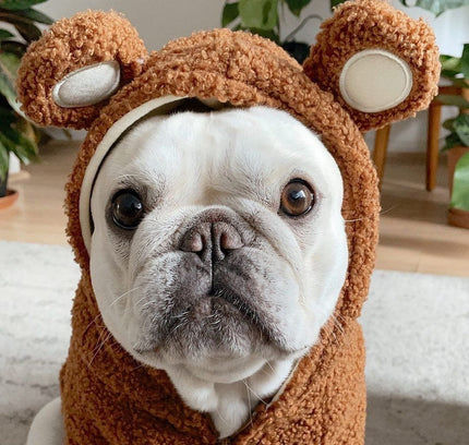 The "Warm Ears" Bulldog Sweater (Fleece Lined & Cozy)