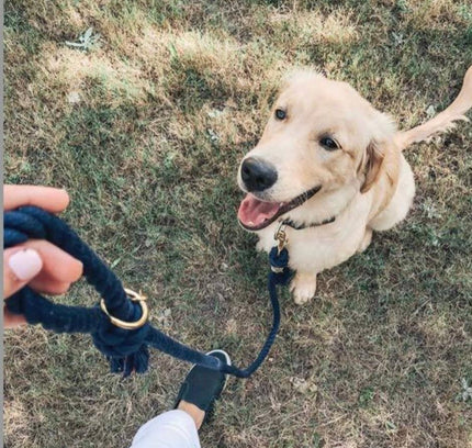 ROPE LEASH - OMBRE OLIVE-2