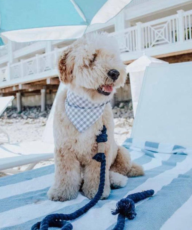 ROPE LEASH - MYSTICAL FAIRYTALE-4