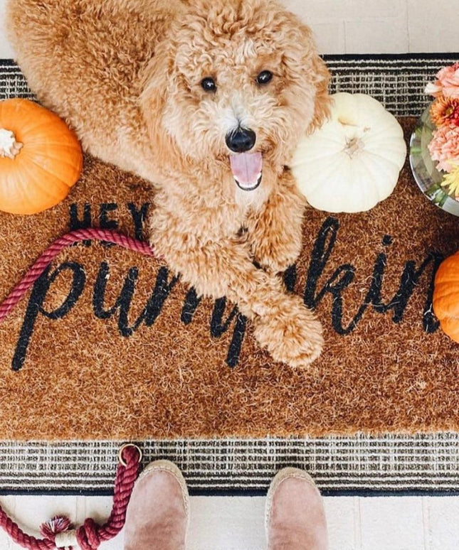 ROPE LEASH - OMBRE PINK-3