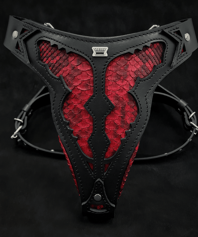 The ''Red Dragon'' harness