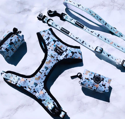 BUNDLE - DAPPER DOGGY (4 PIECES)-0