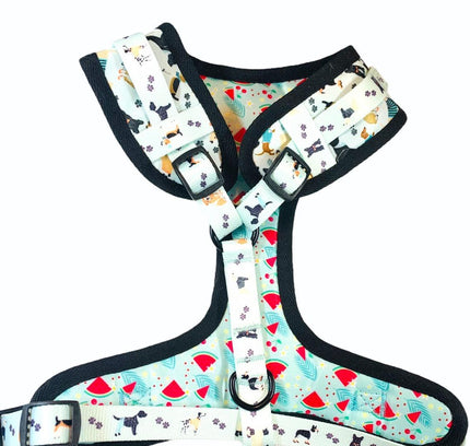 BUNDLE - DAPPER DOGGY (4 PIECES)-3