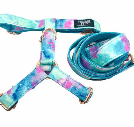 STEP IN HARNESS - SKY-4