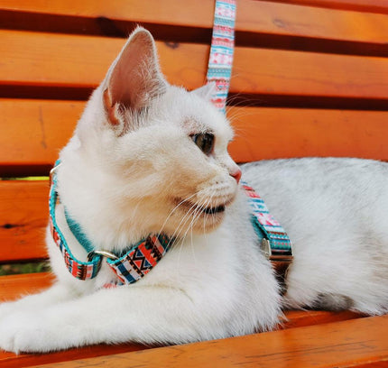 STEP IN HARNESS - TROPICAL-3