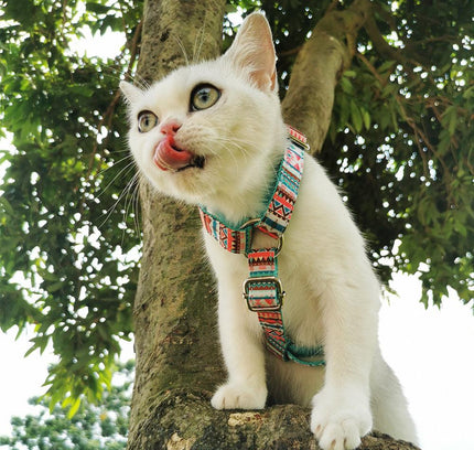 STEP IN HARNESS - OH MY BUBBLES-3