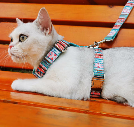 STEP IN HARNESS - DONUT DONUT-3