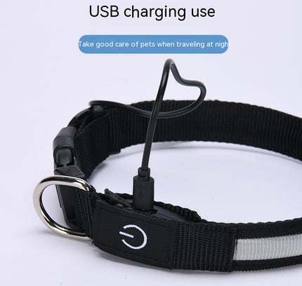 The "High Vis" Nylon LED Collar (USB Rechargeable)