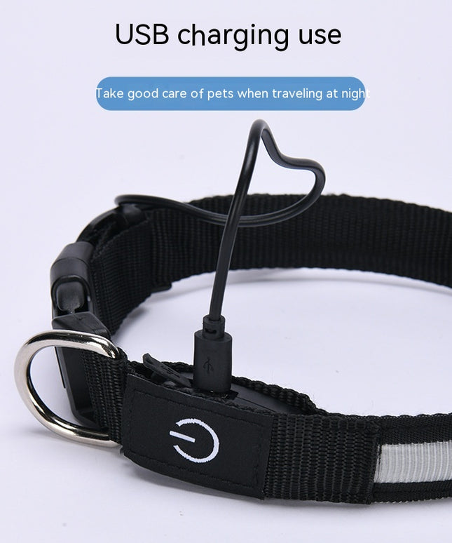 The "High Vis" Nylon LED Collar (USB Rechargeable)
