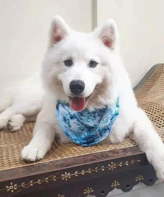 BANDANA - OCEAN BLUE-3