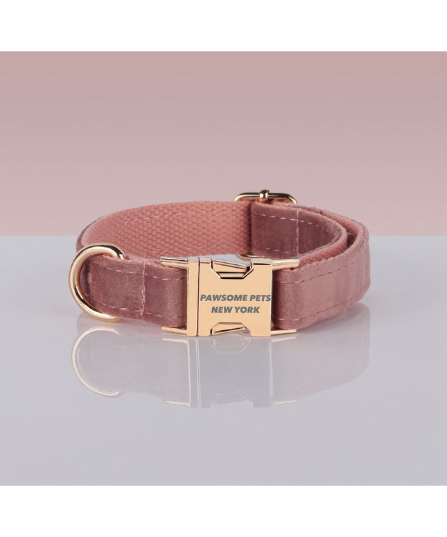 PAWSOME DOG COLLAR - #14-0