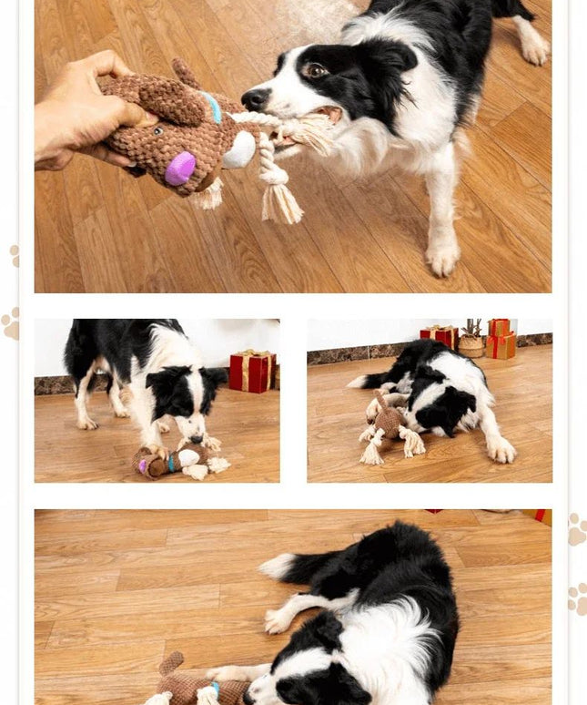 The "Chew & Rope" Plush Toy (Squeaker & Puppy Teeth)