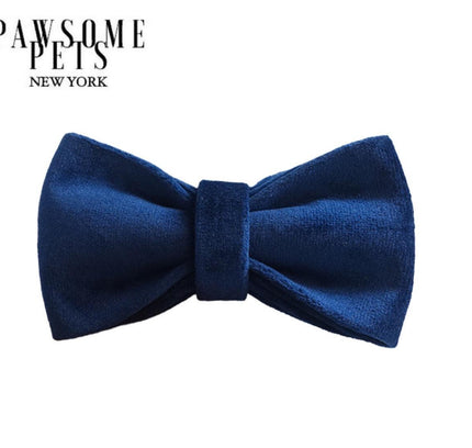BOWTIE - BLUE TO BE WILD-0
