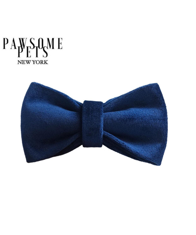 BOWTIE - BLUE TO BE WILD-0