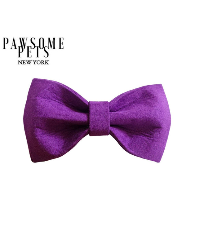 BOWTIE - PURPLE LOVE-0