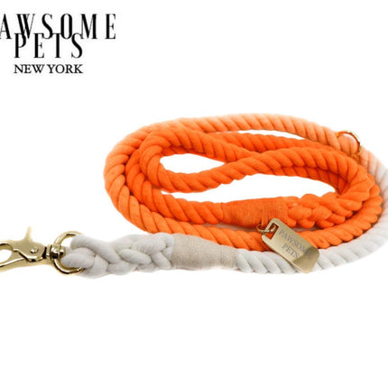 ROPE LEASH - SANTA MONICA SUNSET-0