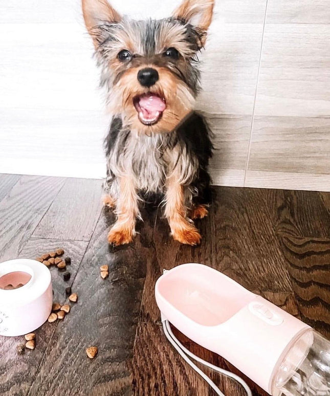 2 IN 1 PORTABLE PET FEEDER - PINK-4