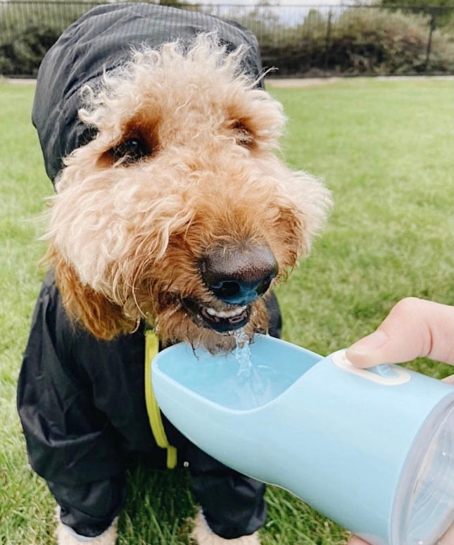 2 IN 1 PORTABLE PET FEEDER - BLUE-3