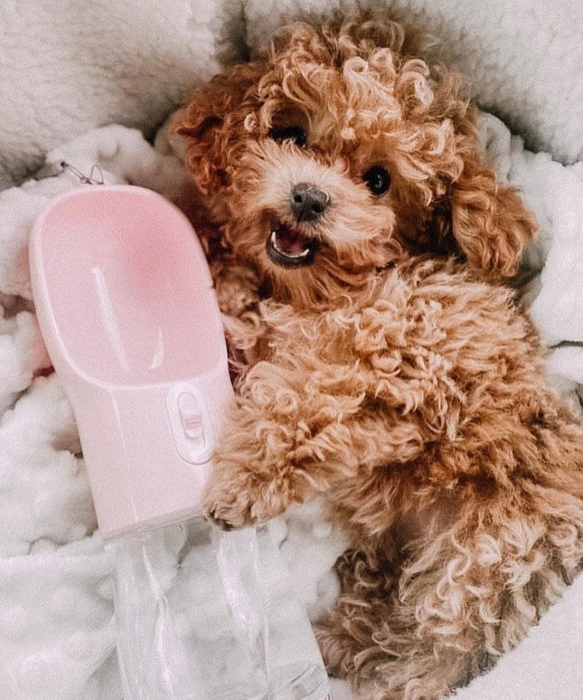 2 IN 1 PORTABLE PET FEEDER - PINK-1