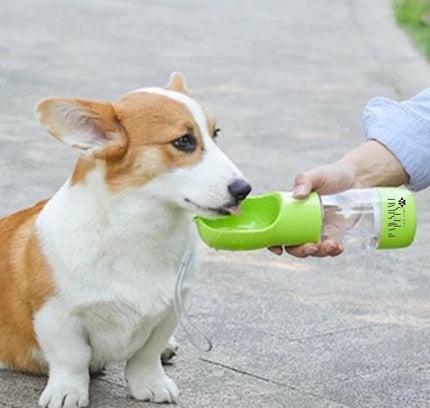2 IN 1 PORTABLE PET FEEDER - GREEN-1