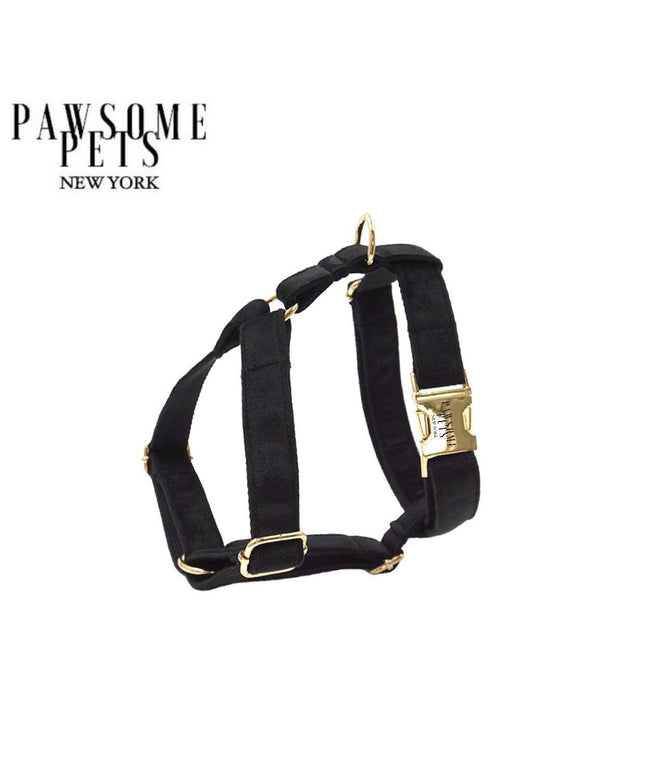 STEP IN HARNESS - BLACK-0