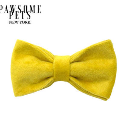 BOWTIE - BRIGHT YELLOW-0