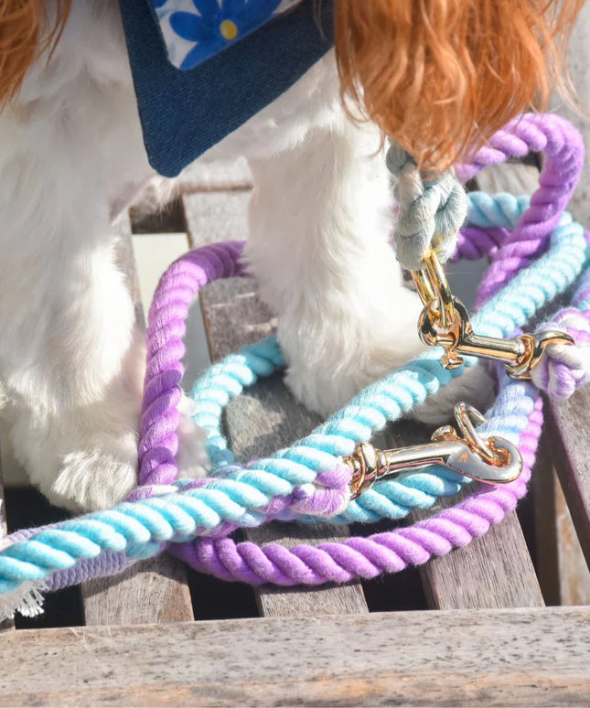 HANDS FREE ROPE LEASH - AURORA-2