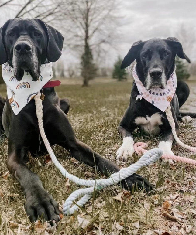 Dog Rope Leash - Watermelon Red-4