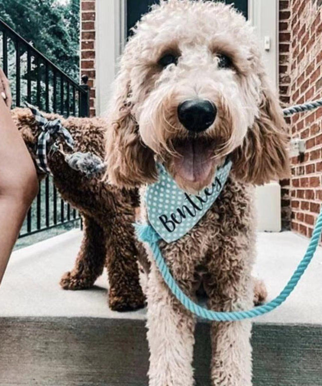 Dog Rope Leash - Mint Green-1