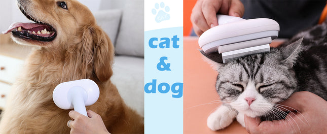 The "Hair Expert" 5-in-1 Pro Grooming Kit (Slicker & Self-Cleaning)