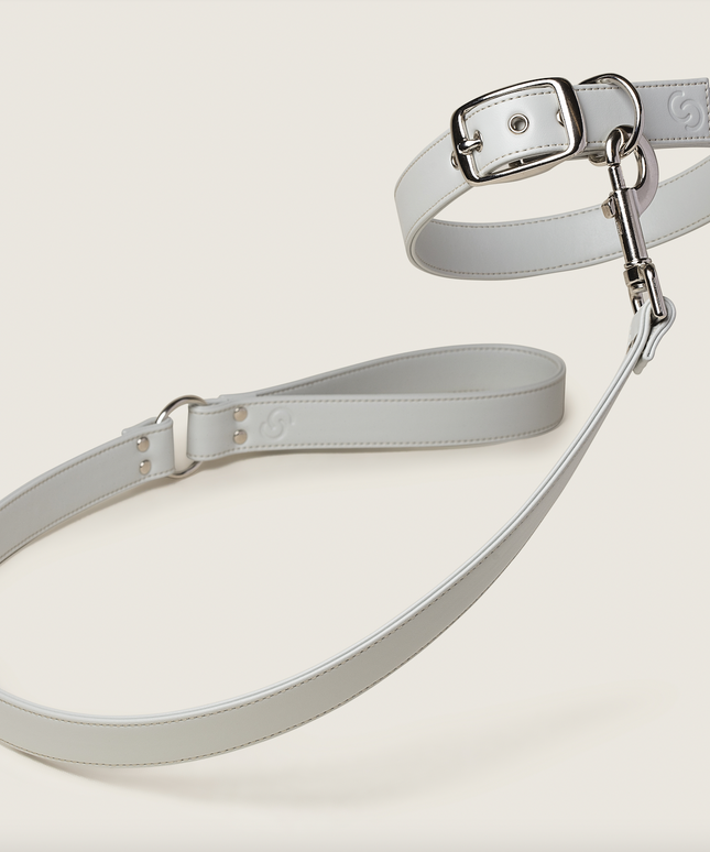 Ice blue vegan apple leather dog collar-1