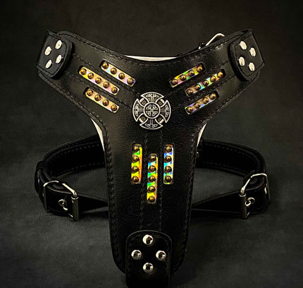 The Atlantis Harness-0