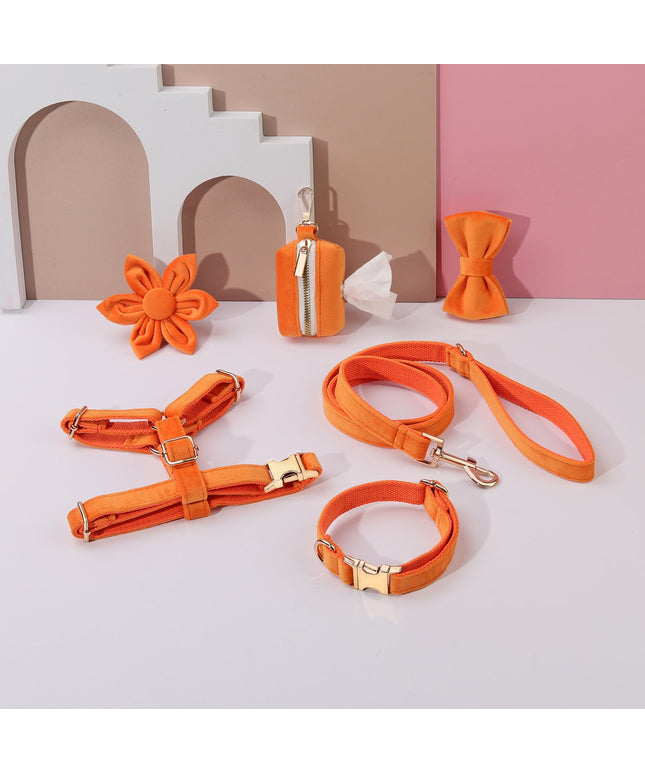 STEP IN FLORAL BUNDLE - ORANGE (6 pieces)-0