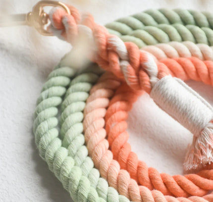 HANDS FREE DOG ROPE LEASH - BUBBLE SODA-2