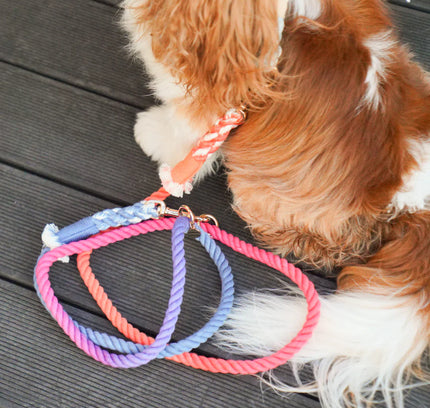HANDS FREE DOG ROPE LEASH - PALETTE-1