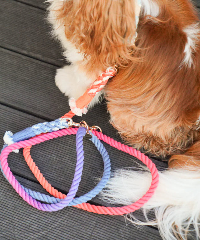 HANDS FREE DOG ROPE LEASH - PALETTE-1