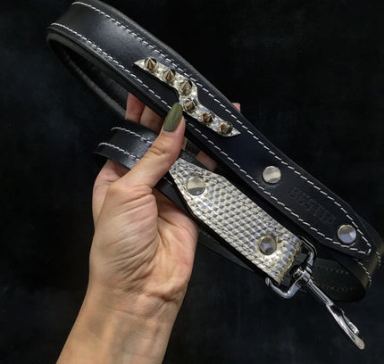 The ''Platinum'' leash-1