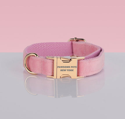 PAWSOME DOG COLLAR - #3-0