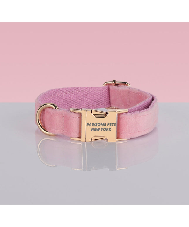 PAWSOME DOG COLLAR - #3-0