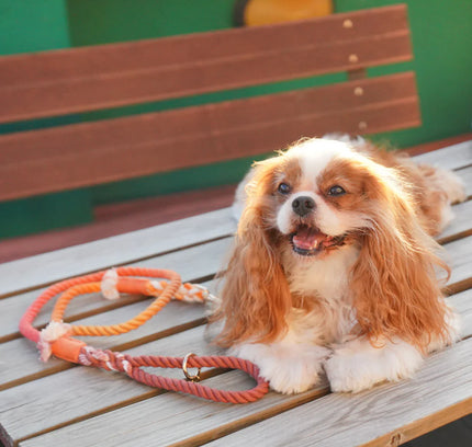 ROPE LEASH - MAPLE-1