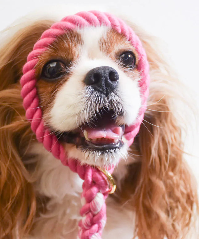 ROPE LEASH - HOT PINK-1